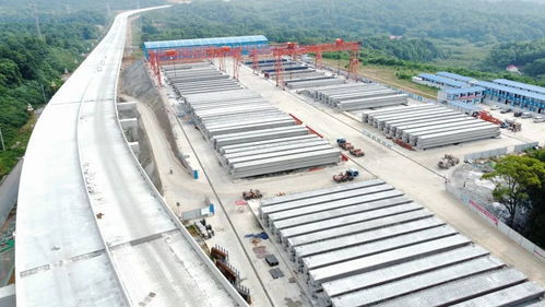 九江最大單體市政工程迎新突破 快速路項目箱梁預(yù)制任務(wù)圓滿完成